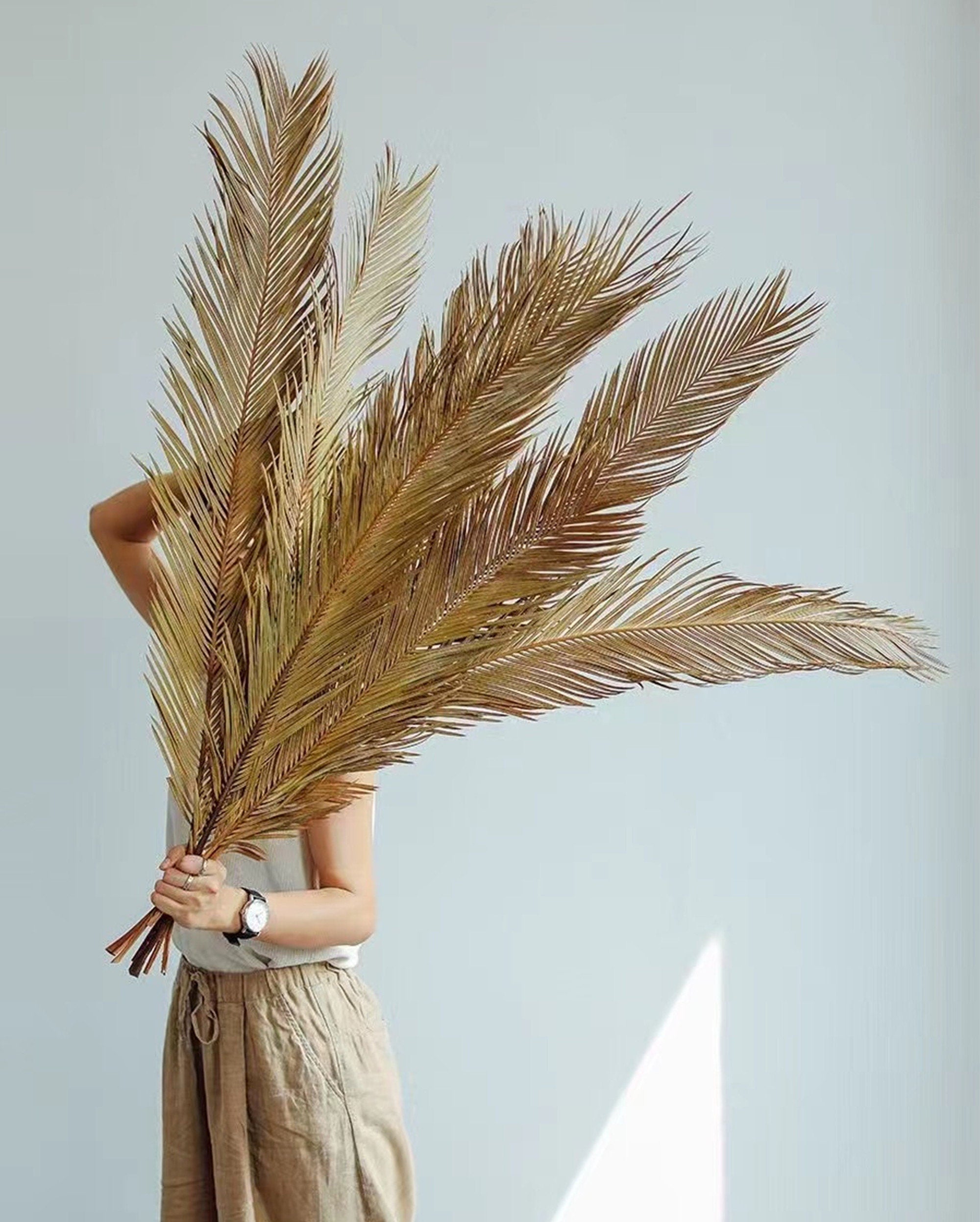 3 Stems Natural Palm leaf Dried Sago Palm Leaves，dried flower,natural flower. -PAMPAS grass wholesale and dried flowers wholesale near me