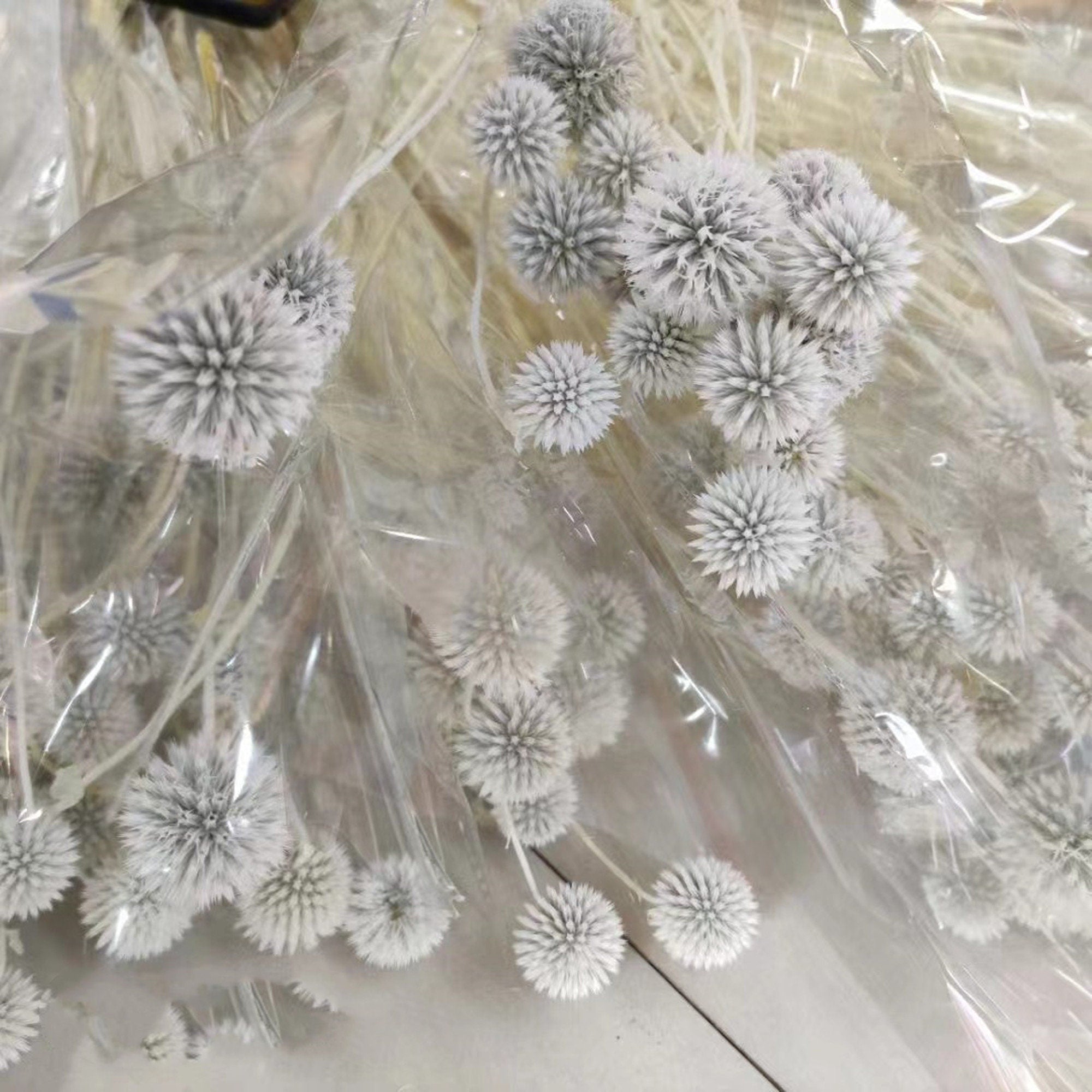 12 heade Dried Blue Globe Thistle | Blue Dried Flowers | Boho Decor | Everlasting Echinops | White Dried Florals | Dried Flower Bouquet wholesale -PAMPAS grass wholesale and dried flowers who