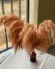 5 STEMS Magenta PAMPAS GRASS - Natural Dried Pampas Grass Decor, Reed Plume, Dry Boho Wedding Flower Arrangement, Tall Bohemian Plant Home Decor -PAMPAS grass wholesale and dried flowers whol